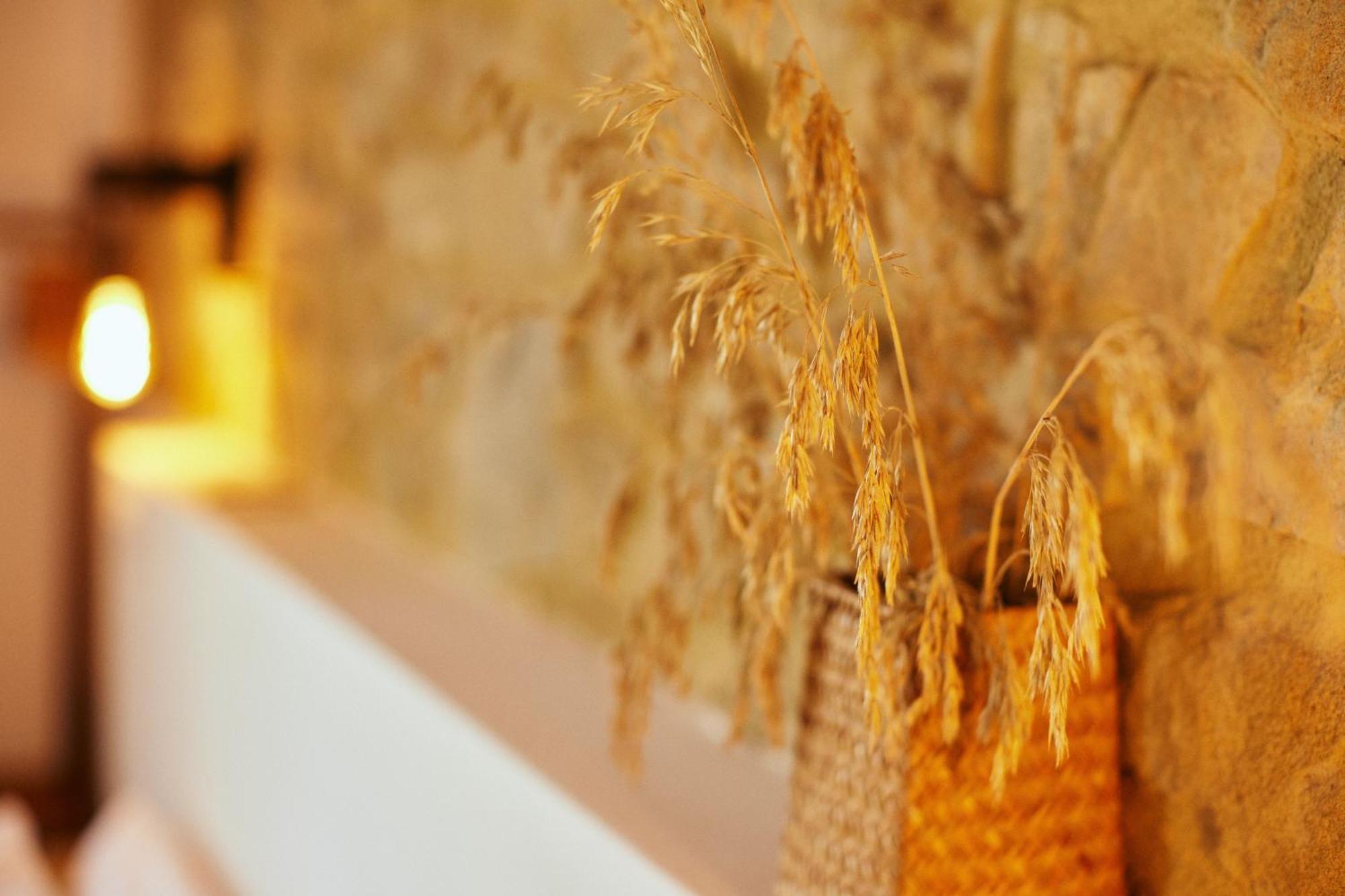 Glamping Le Dune Cinigiano ภายนอก รูปภาพ